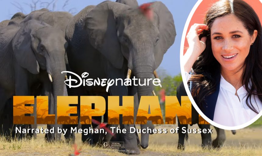 Meghan Markle Disney Elephant Documentary Reviews