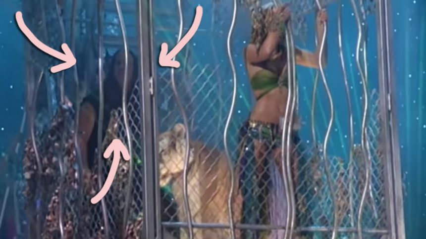 Britney Spears' hit 2001 MTV VMAs performance included a special appearance by Tiger King star Doc Antle!