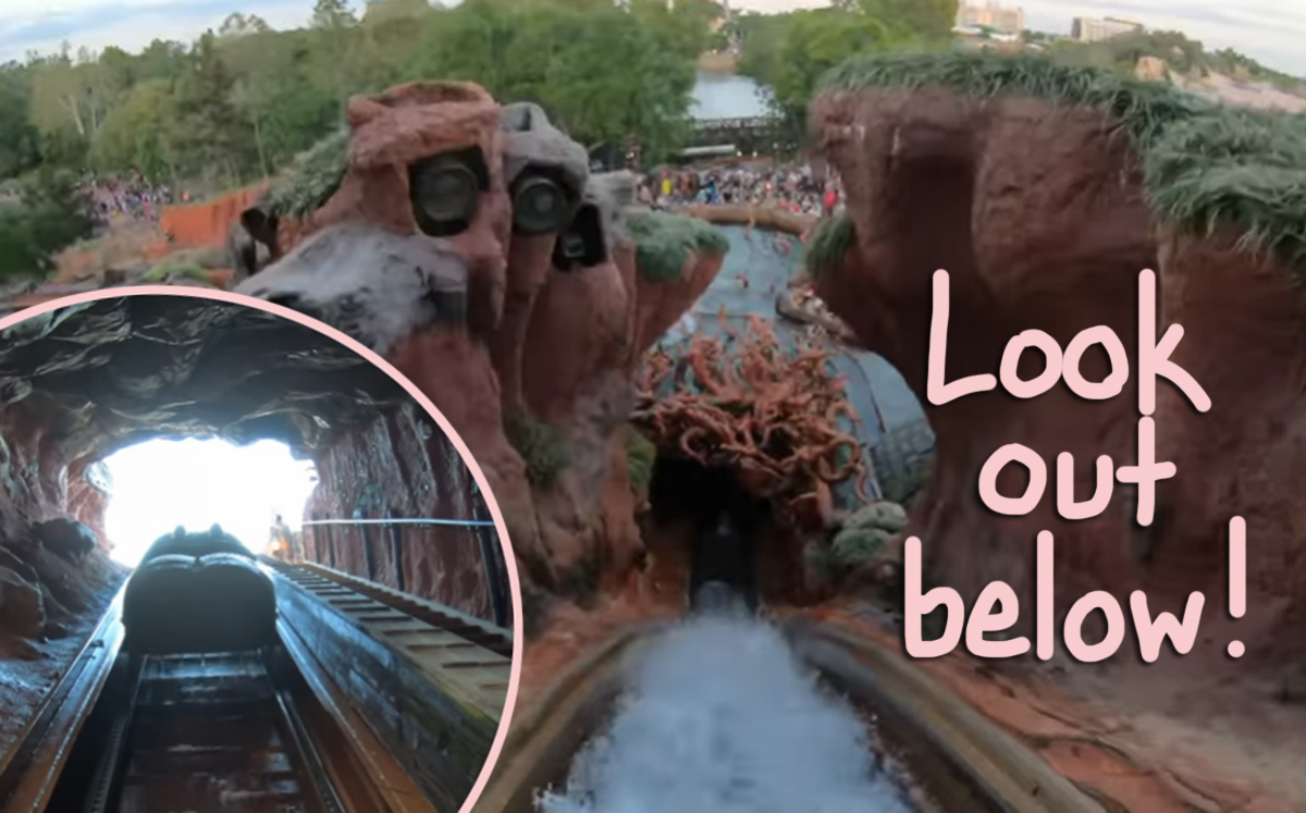 Disneyland fans recreate popular rides on video amid coronavirus shutdown!