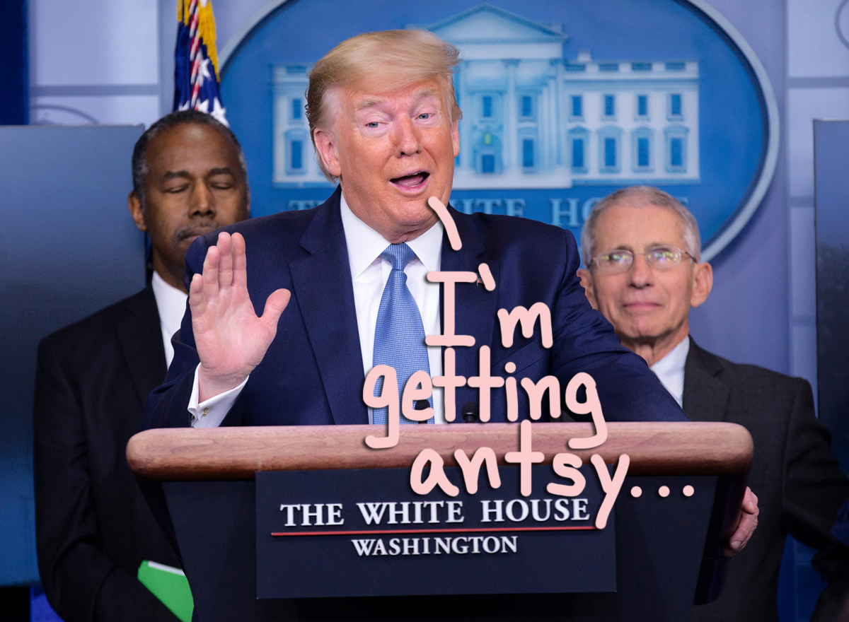 Donald Trump appears to be about to end the social distancing policies in America... too soon?