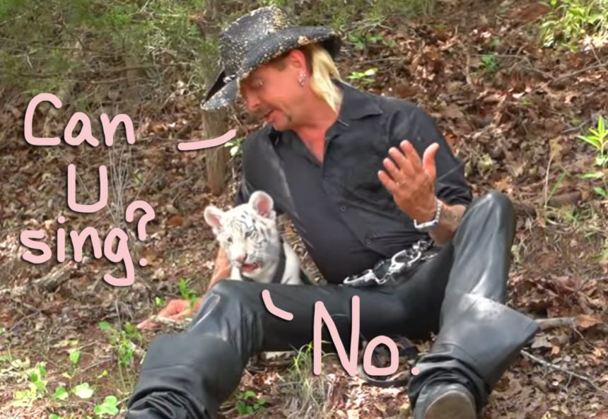Tiger King Star Joe Exotic S Music Career Was Fake Find Out Who