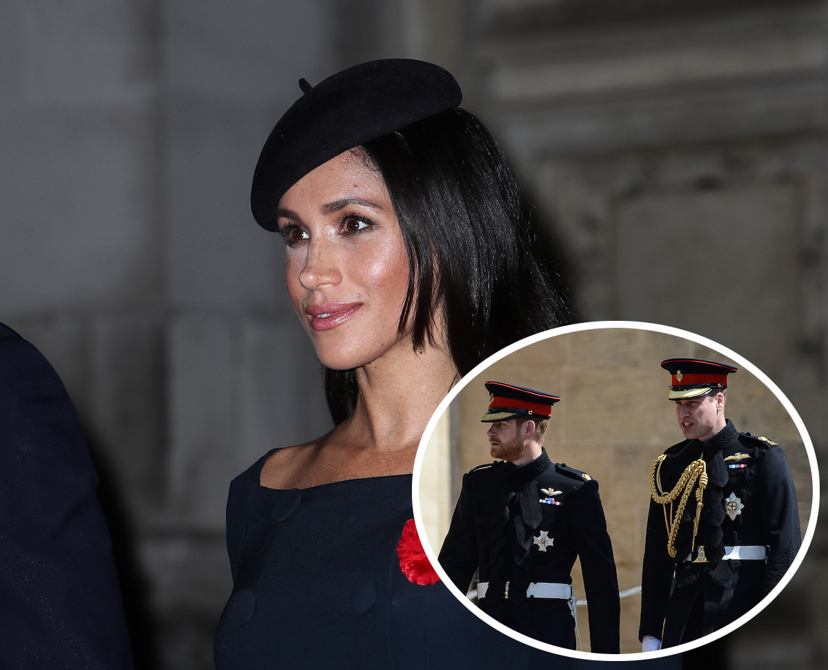 meghan markle reflects on harry and william drama