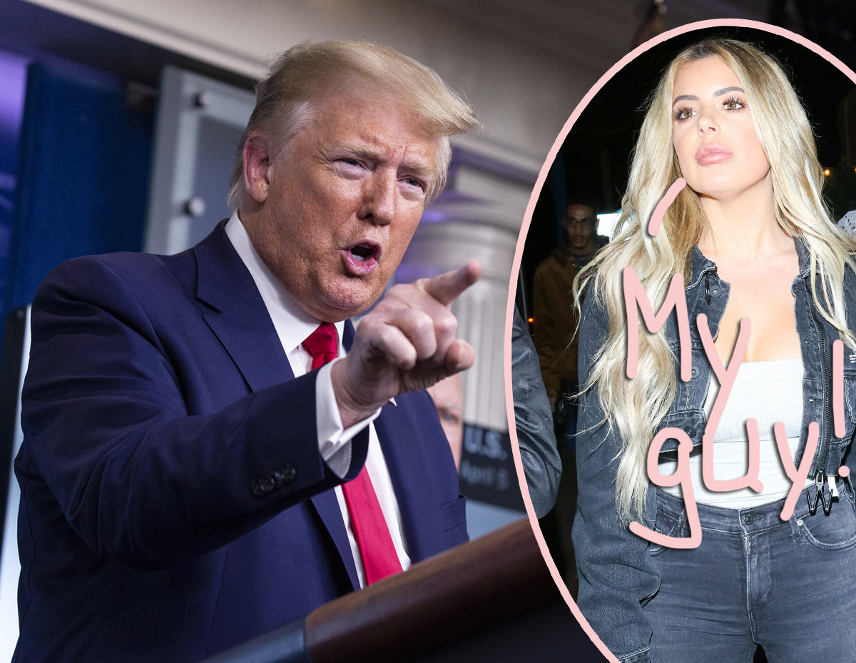 Brielle Biermann defends Donald Trump with a non-bullying tweet! OK!