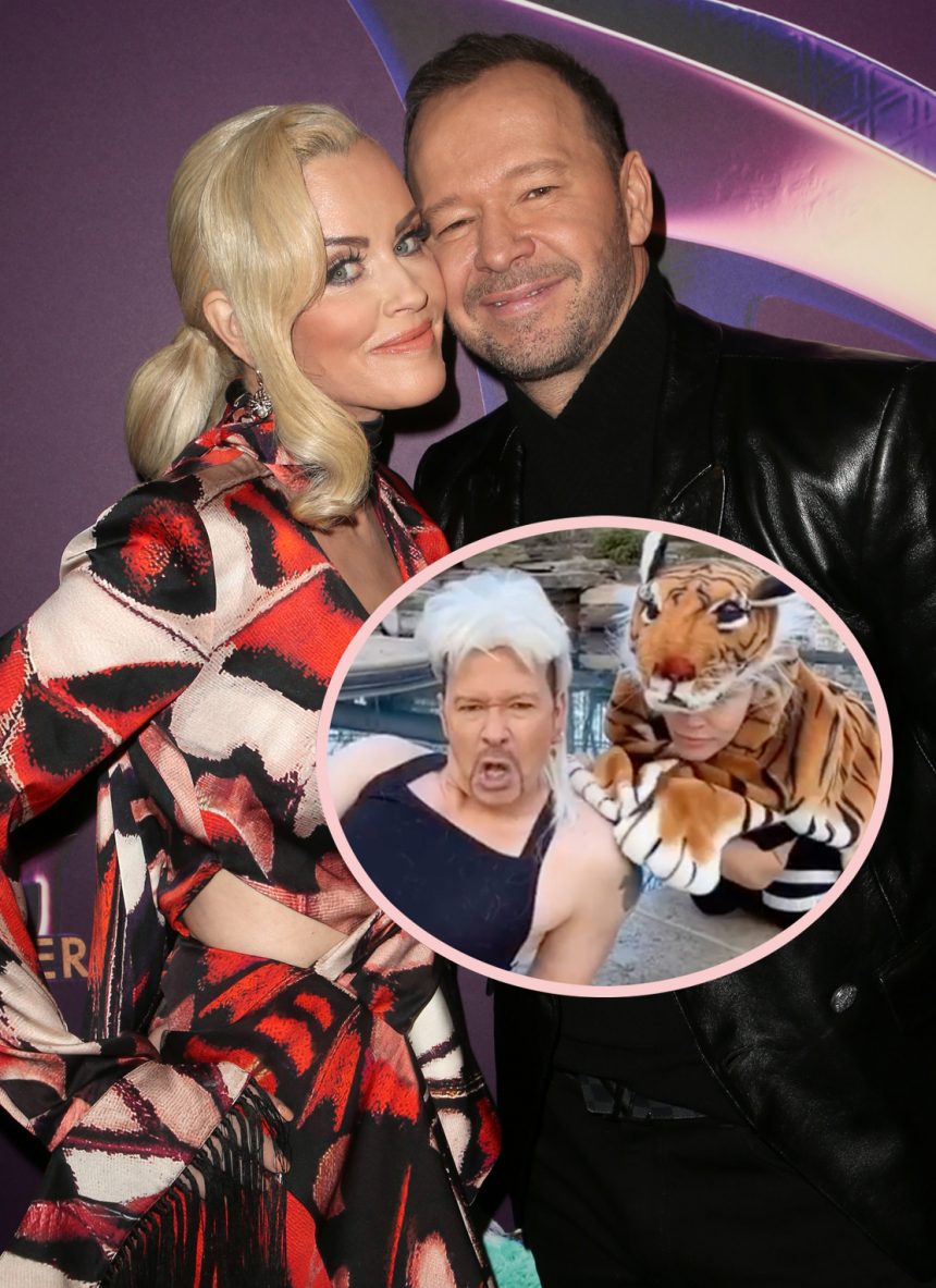 Watch Donnie Wahlberg Jenny Mccarthy Hilariously Recreate Tiger