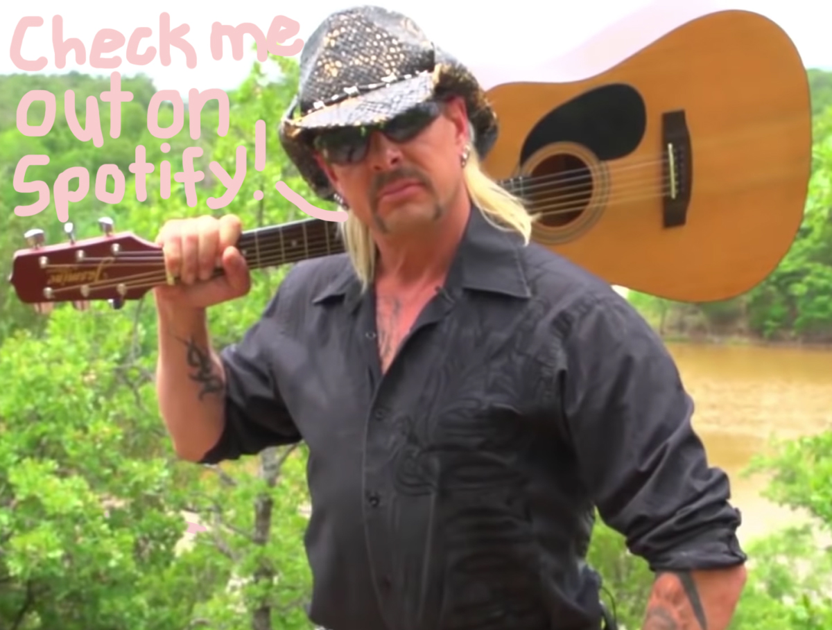 Joe exotic music climbing charts