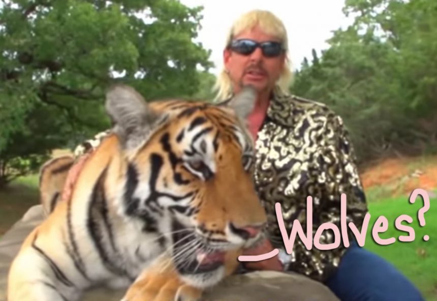 Forget Tiger King Joe Exotic Nearly Became Wolf King Before A