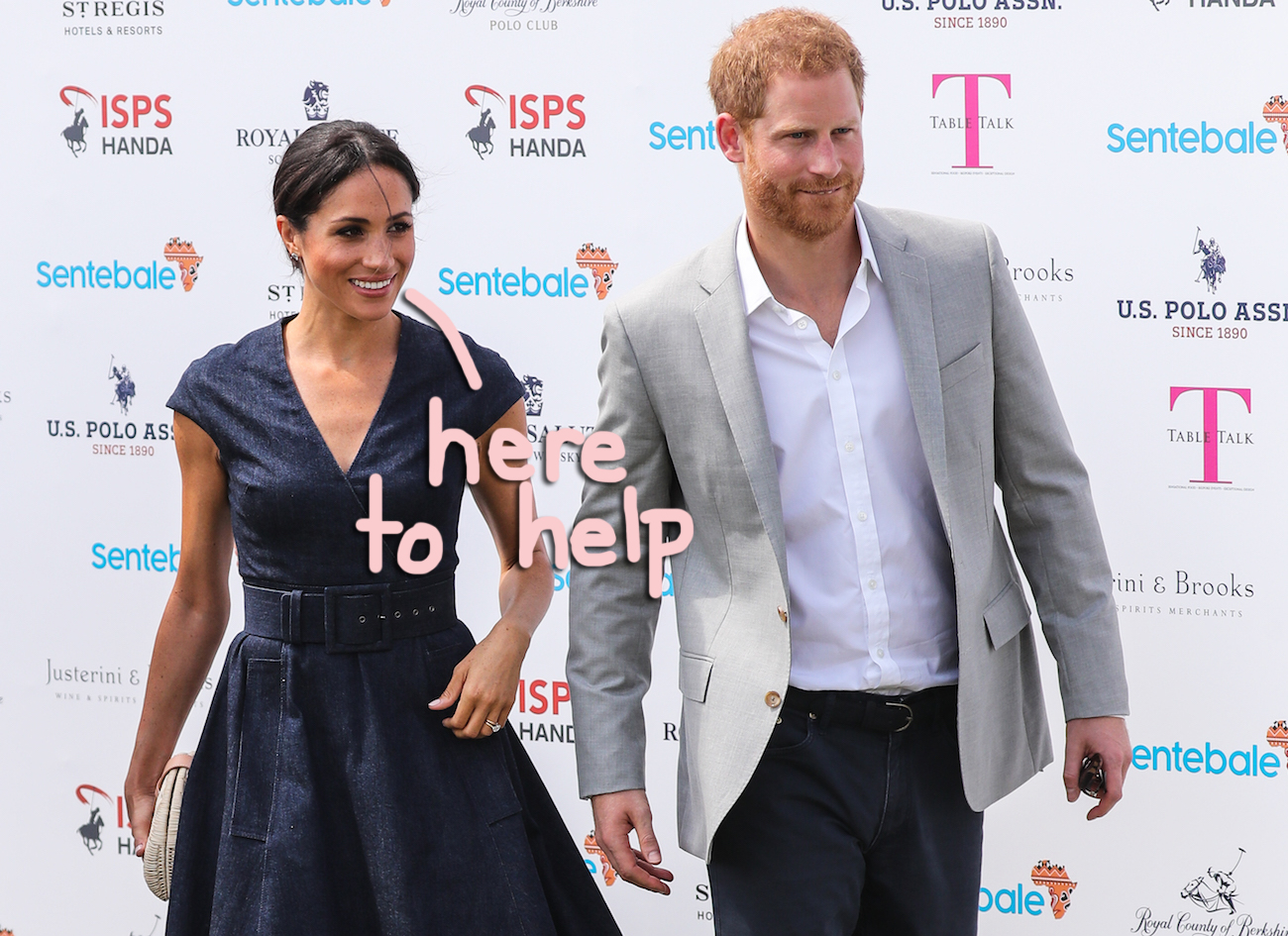 meghan markle and prince harry are happy doing charity work in LA