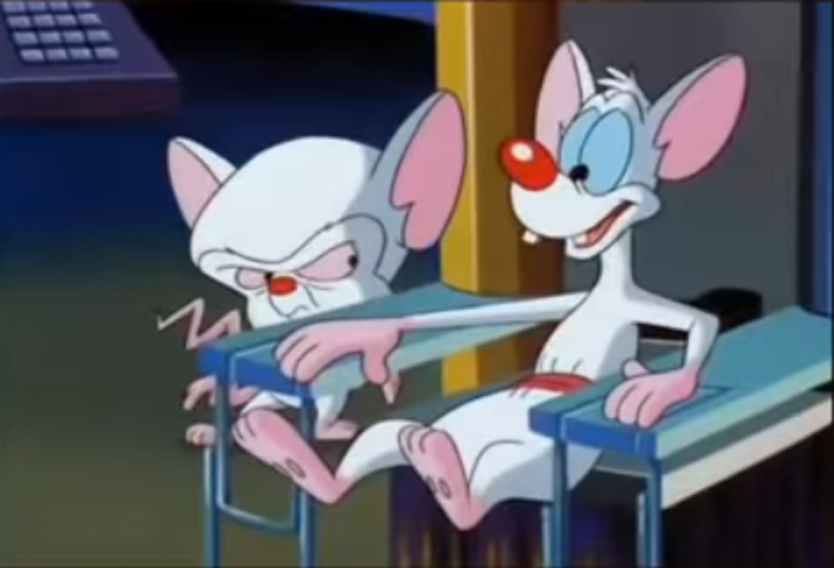 PInky and the Brain is one of the animated shows we really miss!