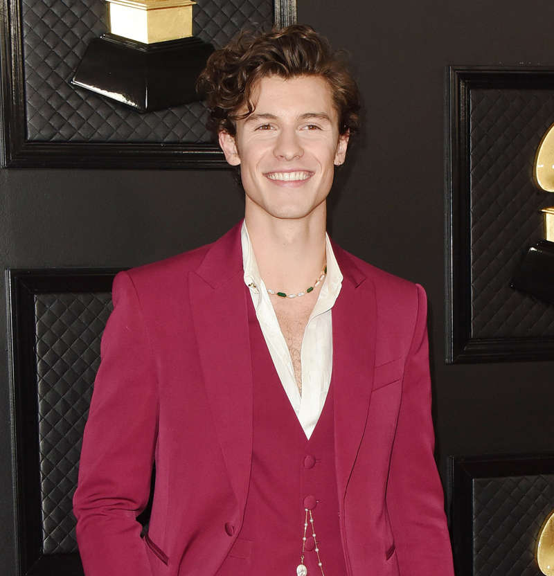 Shawn Mendes helps fight coronavirus