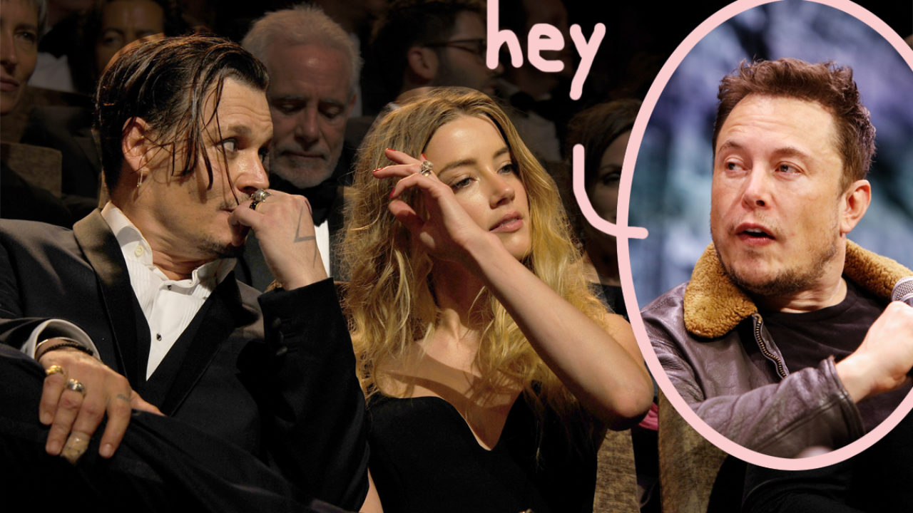 Elon Musk And Amber Heard - Elon Musk Appears To Challenge Johnny Depp To A Cage Fight Over ...