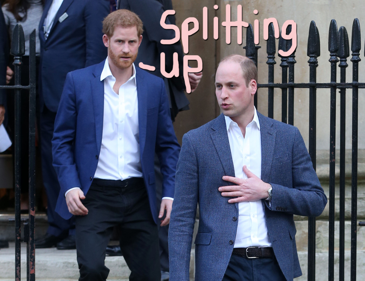 Prince Harry And William Agree To Split Up Princess Diana S Memorial Fund