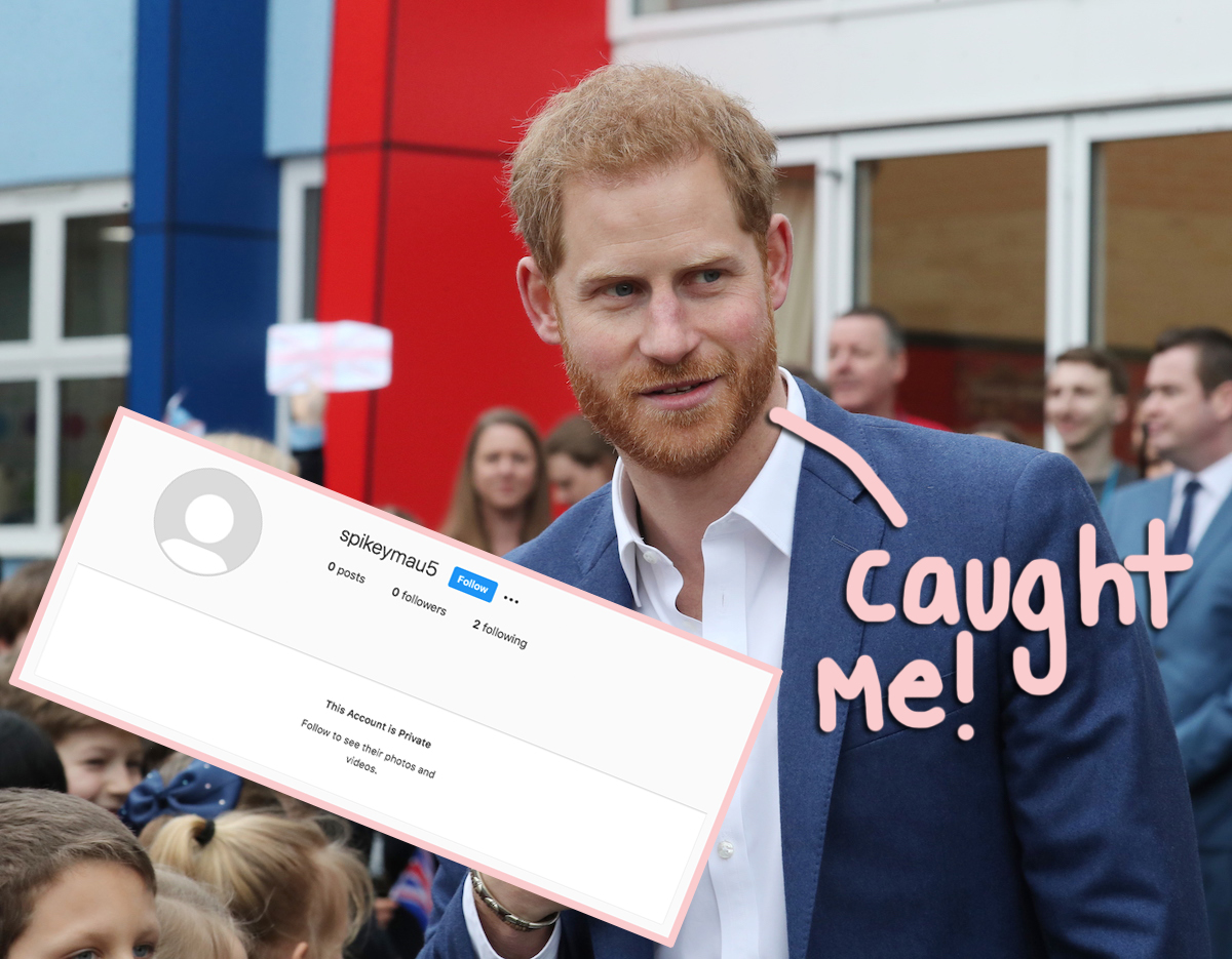 prince harry's private instagram report