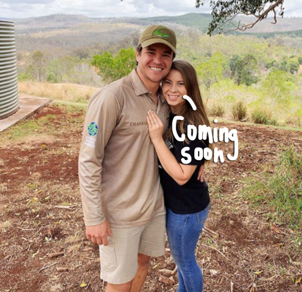 Bindi Irwin Announces She's Expecting Her First Child With Husband
