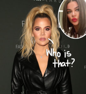 Khloé Kardashian Gets Grilled By Followers And Reacts After Posting ANOTHER Unrecognizable Pic