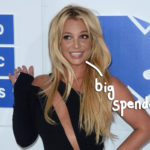 Britney Spears Spent OVER $1 Million In Conservatorship Legal Fees In 2019!!