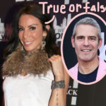 Real Housewives Of Backstabbing! Danielle Staub's Former Publicist Slams Her Claims Against Andy Cohen!