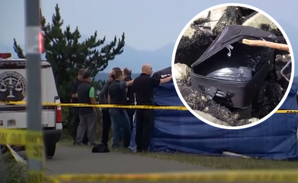 TikTok Body Discovery Surprise Arrest Made In Case Of Dismembered