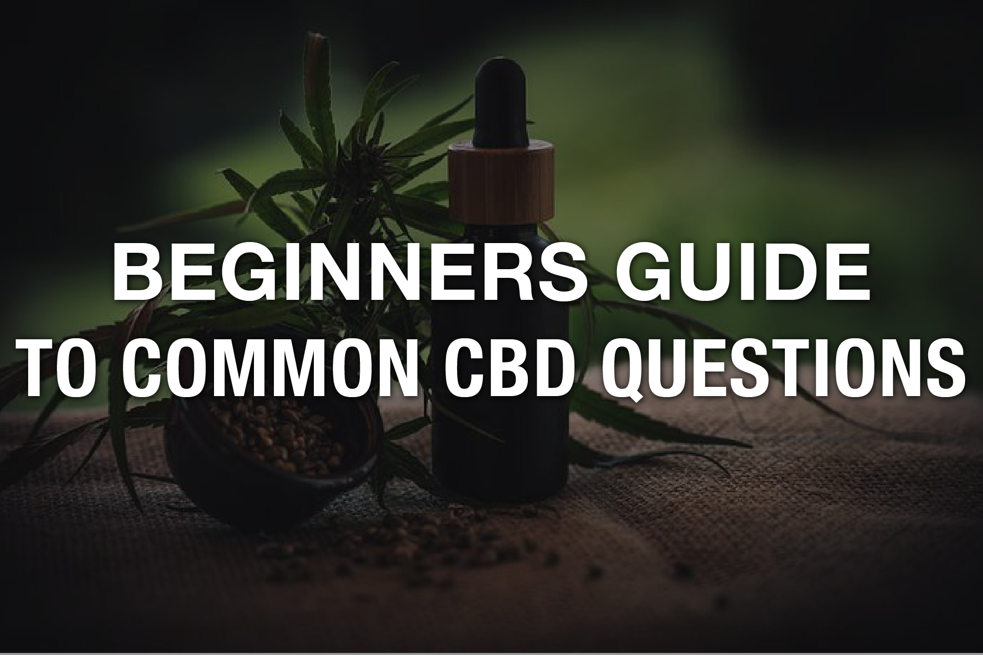 Beginner’s Guide To Common CBD Questions - Perez Hilton