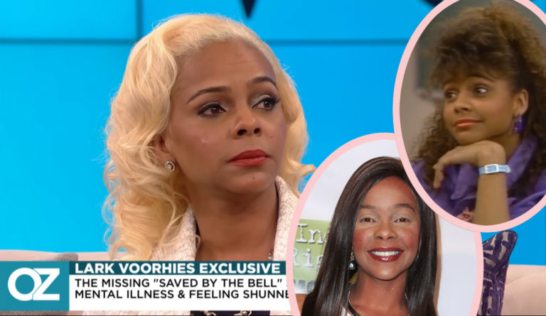 Troubled Lark Voorhies Is Returning To TV For The Saved By The Bell