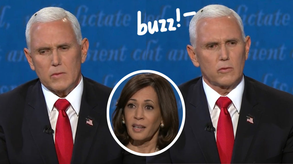 Twitter Absolutely Lost It After A Fly Landed On Mike Pence S Head