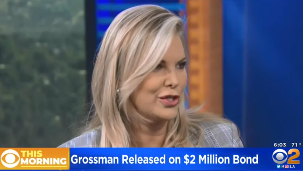 Rebecca Grossman Car Accident Charges