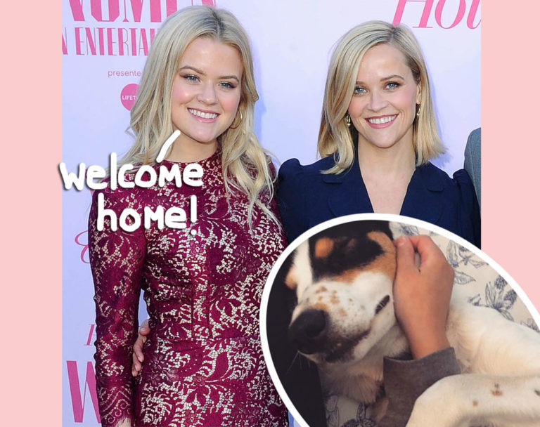 Reese Witherspoon's Daughter Ava Phillippe Brings Home New Pup After