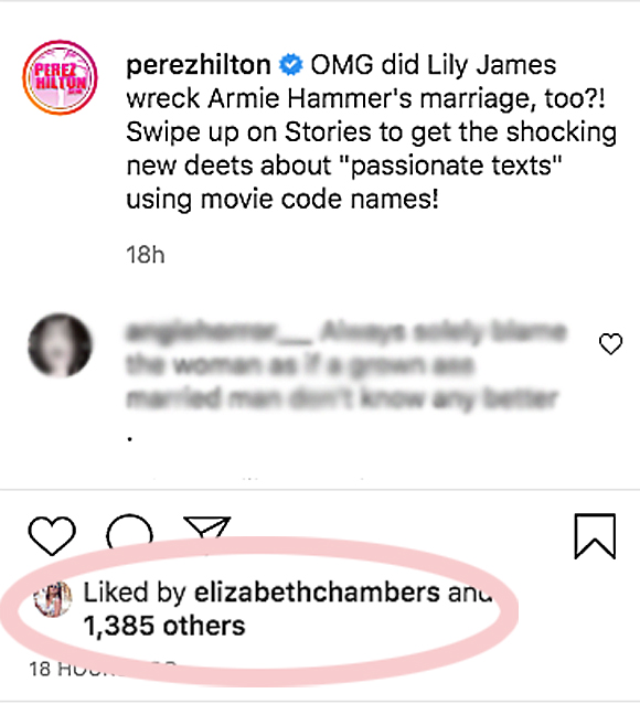 elizabeth-chambers-confirms-armie-hammer