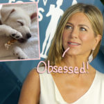 Jennifer Aniston's New Puppy Is The Cutest Thing EVER!
