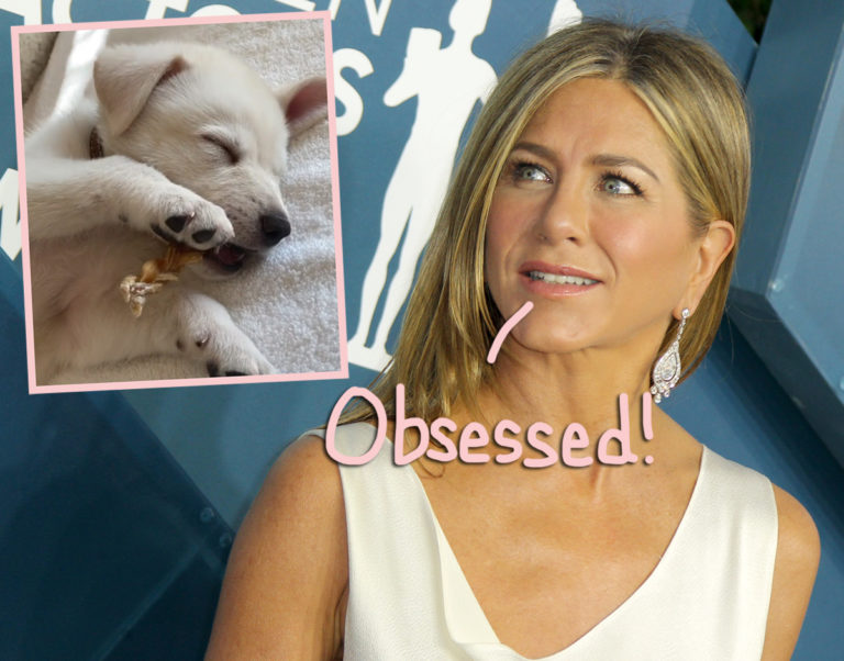 Jennifer Aniston's New Puppy Is The Cutest Thing EVER! Perez Hilton