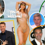 Celebrity Scandals We're Thankful For In 2020!