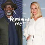 Former Grey's Anatomy Star Isaiah Washington SLAMS Katherine Heigl Over 2007 Feud! WTF?!