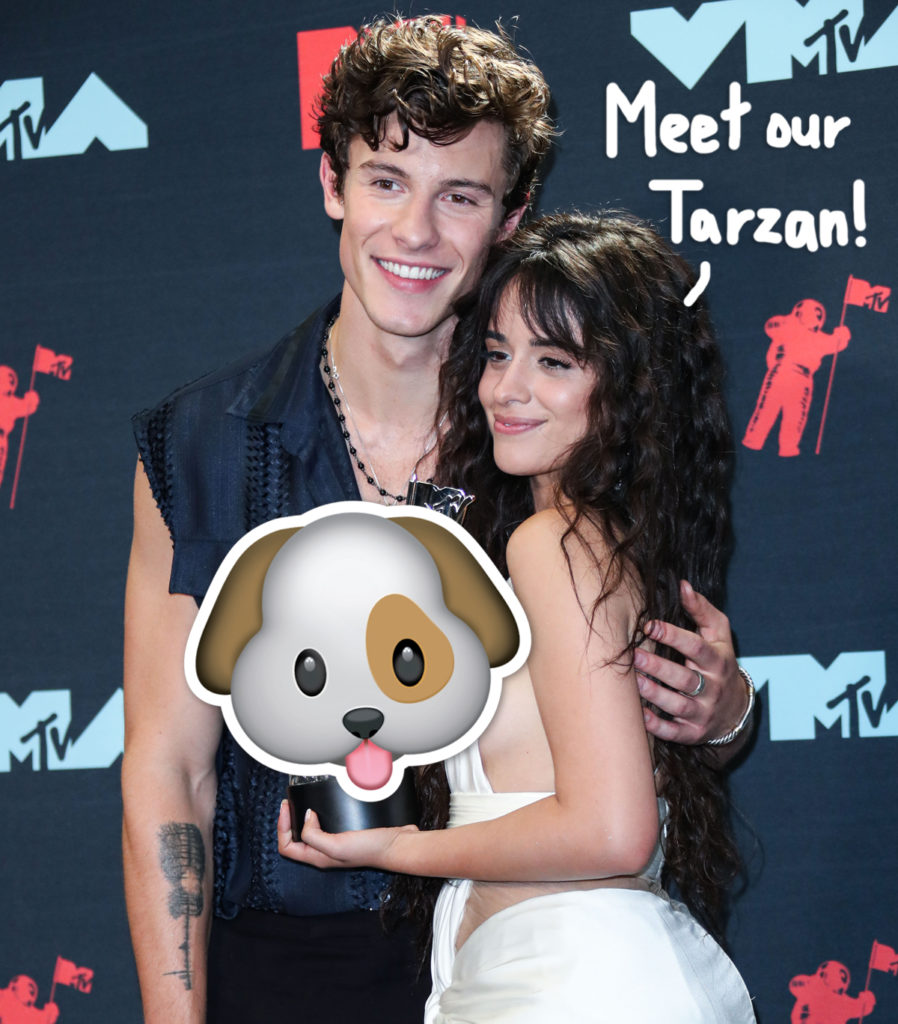 Shawn Mendes & Camila Cabello Are Officially DOG Parents - Meet Their ...