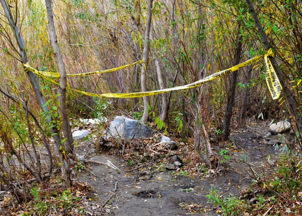 Virginia Woman Murder Suicide Children