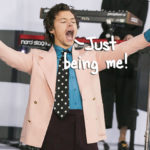 Harry Styles Makes History With An Iconic Gender-Fluid Vogue Cover Shot & Interview!