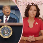 OMG This Stupid Election Is Right Out Of A Veep Episode!