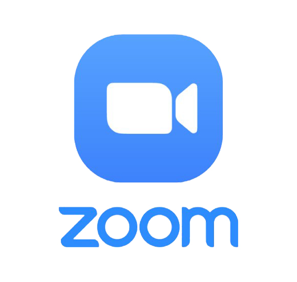 zoom logo color