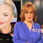 The View's Joy Behar Snaps Back At Meghan McCain Following Her Return From Maternity Leave