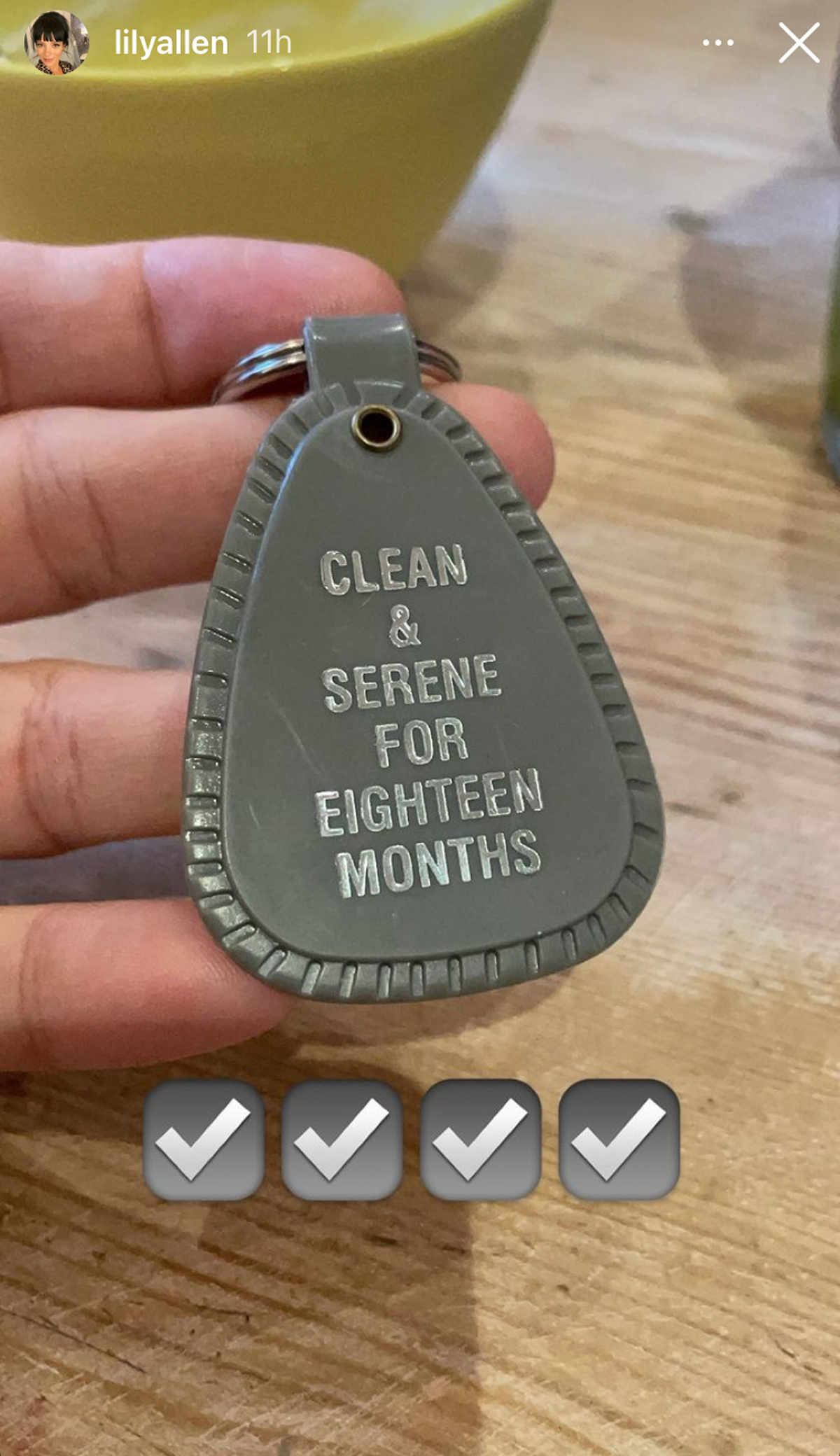 Lily Allen Celebrates 18 Months Of Being Sober!