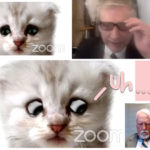 Must See! Lawyer Stuck As Cat In Hysterical Viral Zoom Filter Mix-Up