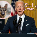 Right-Wing News Show Insults Joe Biden's Rescue Dog Champ In Bizarre Live TV Segment -- WTF?!