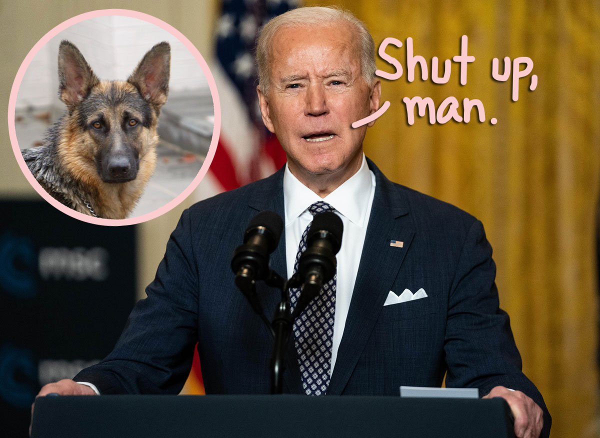 #Right-Wing News Show Insults Joe Biden’s Rescue Dog Champ In Bizarre Live TV Segment — WTF?!
