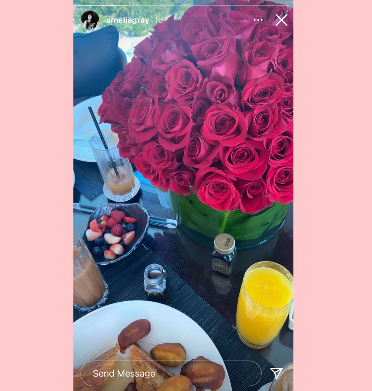 Scott Disick and Amelia Hamlin made things very Instagram official during Valentine's Day weekend!
