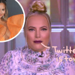 Meghan McCain Reacts To Chrissy Teigen Deleting Twitter -- And Somehow Makes It All About Herself?!
