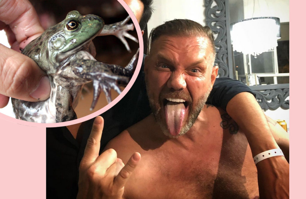 Spanish Porn Star Charged With Homicide In Psychedelic Toad Venom Death! -  Perez Hilton