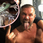 Spanish Porn Star Charged With Homicide In Psychedelic Toad Venom Death!