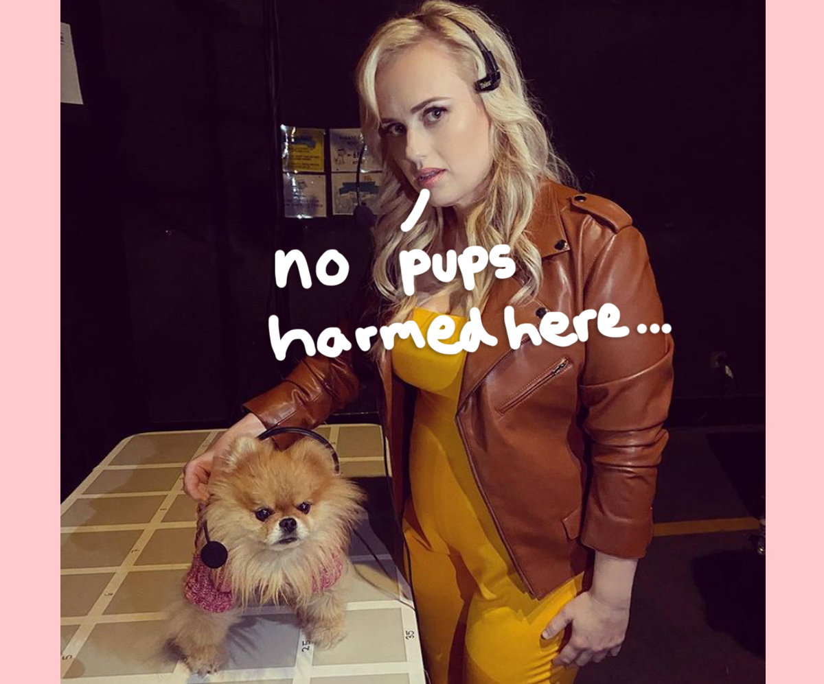 Rebel Wilson’s Pooch Perfect Faces Accusations Of Animal Abuse On Twitter