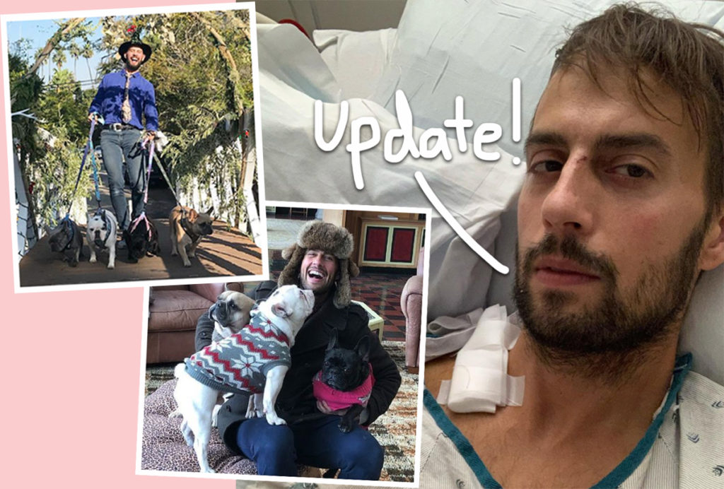 Lady GaGa’s Dog Walker Ryan Fischer Speaks Out After Violent Dognapping!