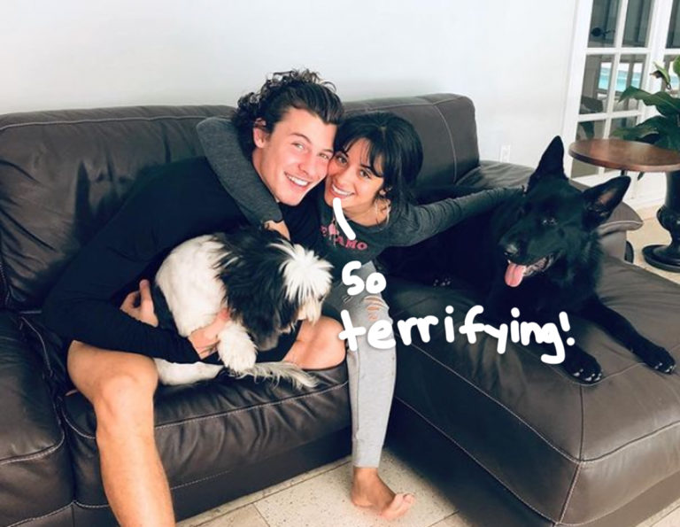 Shawn Mendes & Camila Cabello’s Mansion Was Broken Into While They WERE ...