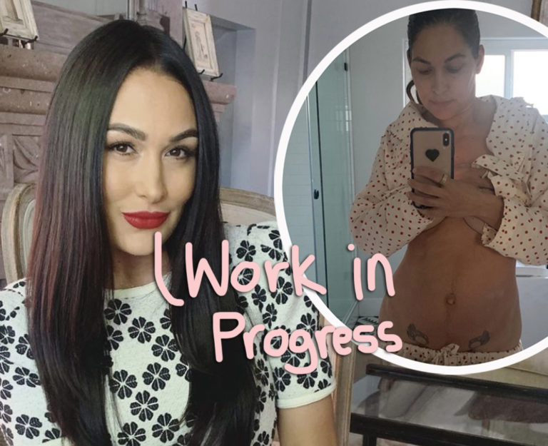 Brie Bella Celebrates PostBaby Body ‘Treasure Marks’ Seven Months(01)