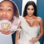 Kim Kardashian Shows Off New Exotic Family Pet!
